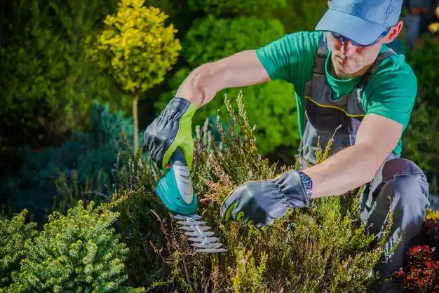 landscaping services Newaygo